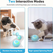 Load image into Gallery viewer, Cat Interactive Ball
